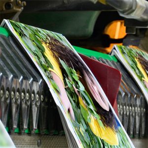 Printing Equipment Financing